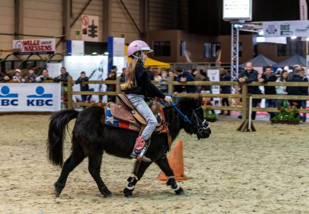 HALL 8 CAMPS DES PRIX05670 HAL 8 PRIJSKAMPEN05670